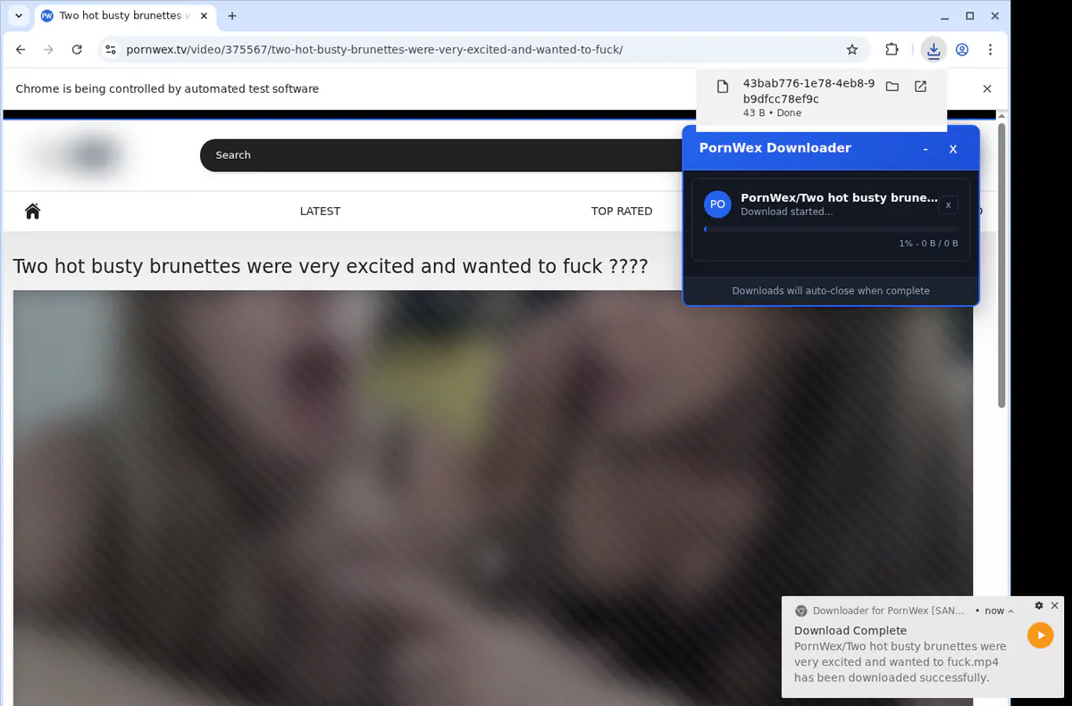 Pornwex Video Downloader browser extension screenshot 2