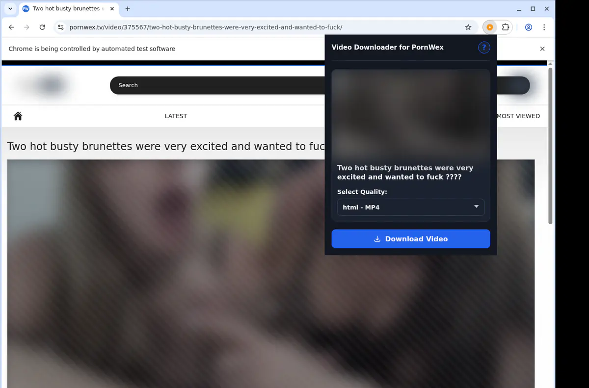 Pornwex Video Downloader browser extension screenshot 3